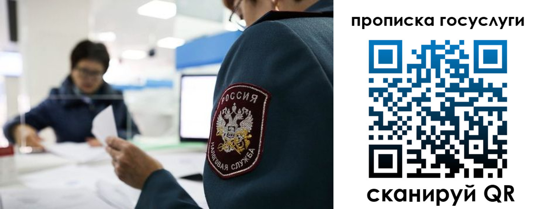 регистрация для школы в Снежногорске